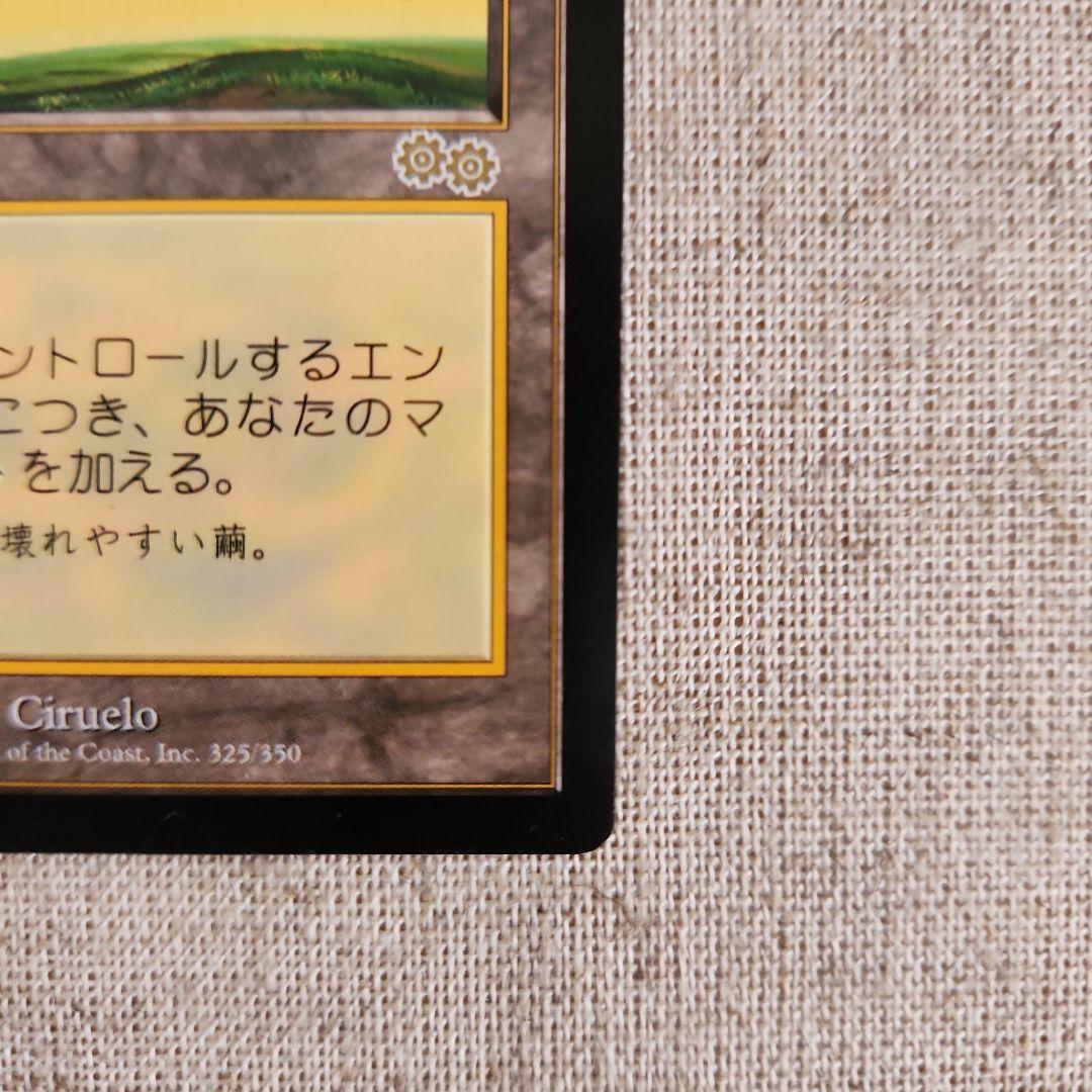 セラの聖域 伝説の土地