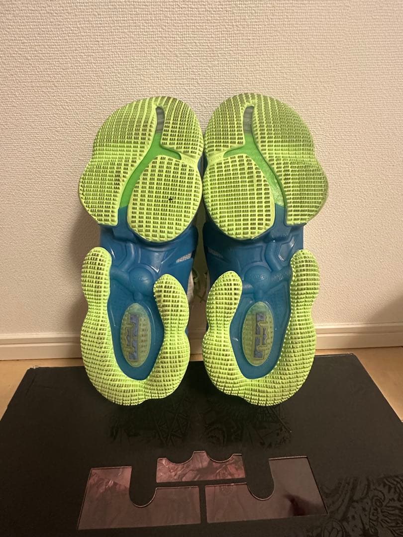 LEBRON XIX レブロン19　バッシュ NIKE