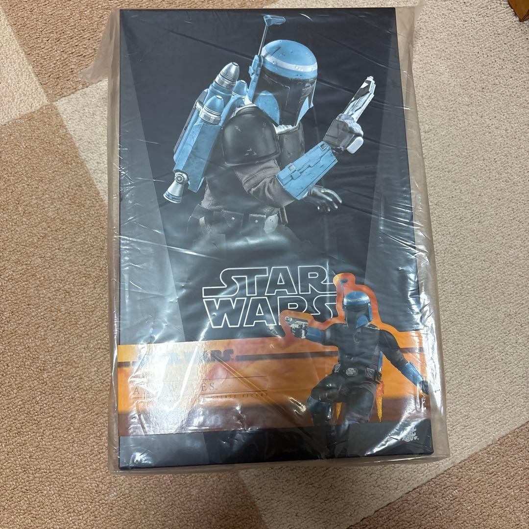 ホットトイズ TMS070 『マンダロリアン』 　アックス・ウォヴス 1/6