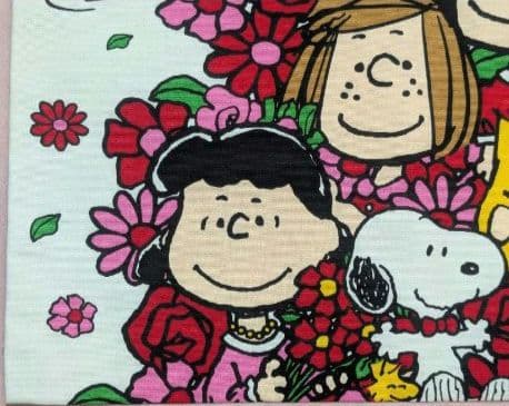 激レア！SNOOPY＆仲間たち　綿トート　 SNOOPYTOWN　梅田　タグ付き