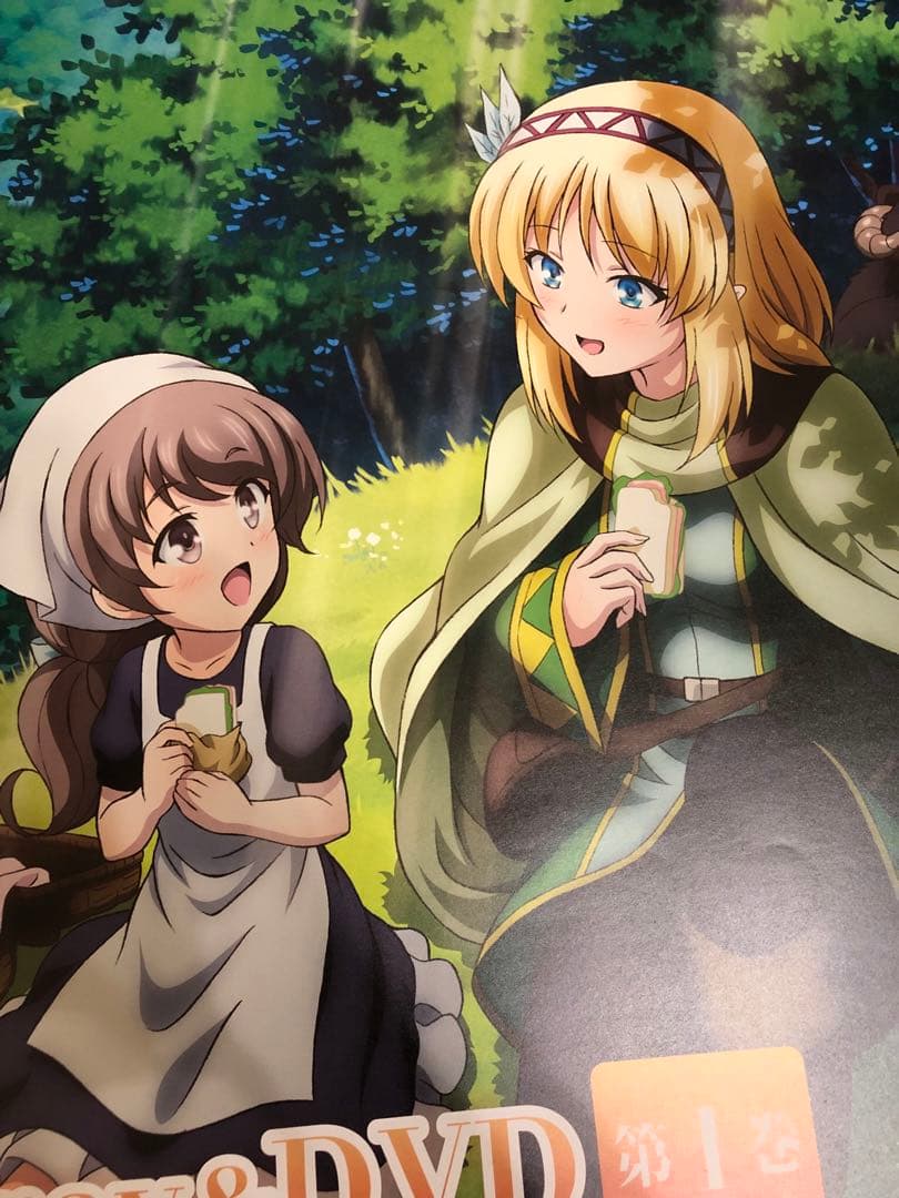 【非売品】リアデイルの大地にて B2 サイズ ポスター