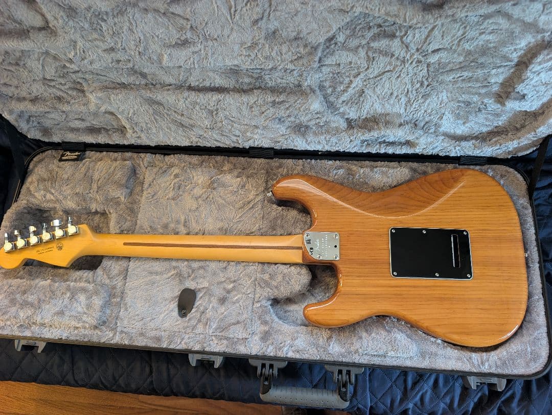 ギター American Professional2 Stratocaster