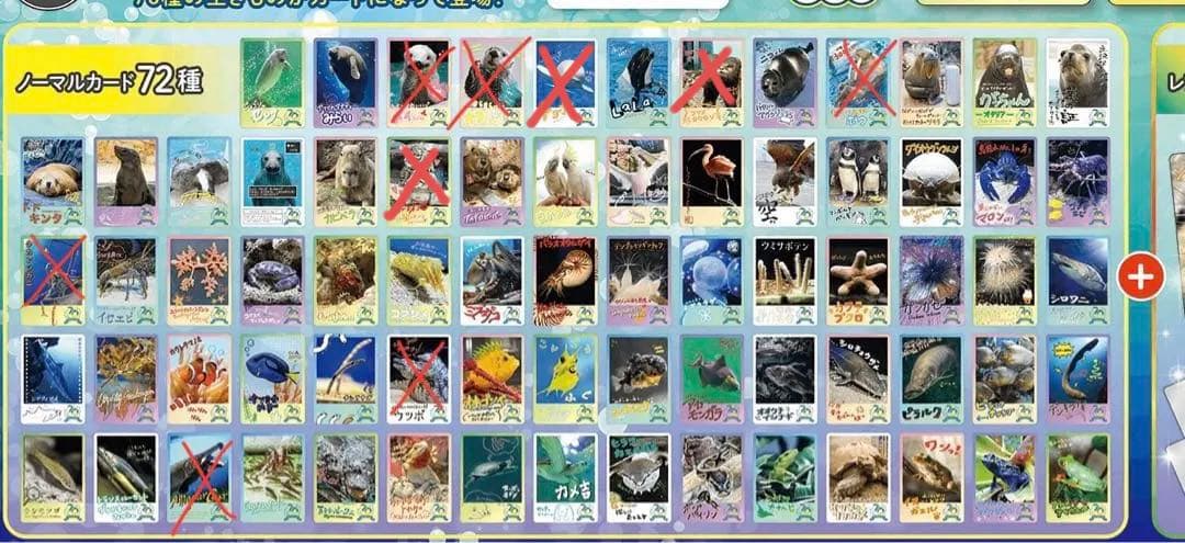 鳥羽水族館コレクションカード バラ売り1枚100円〜