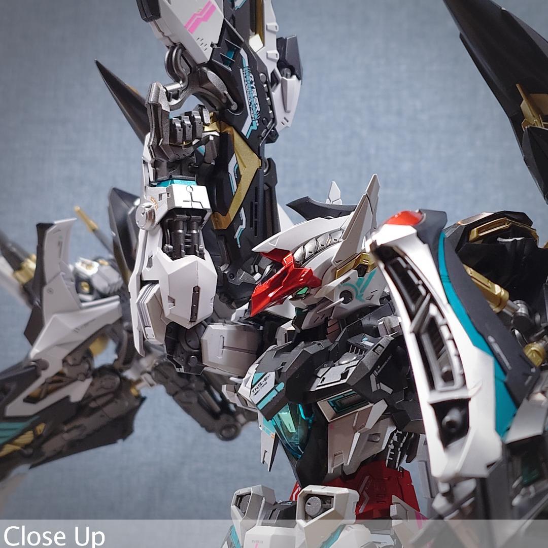 THUNDERBOLT DEVILFISH 1/100 IN ERA+ 完成品