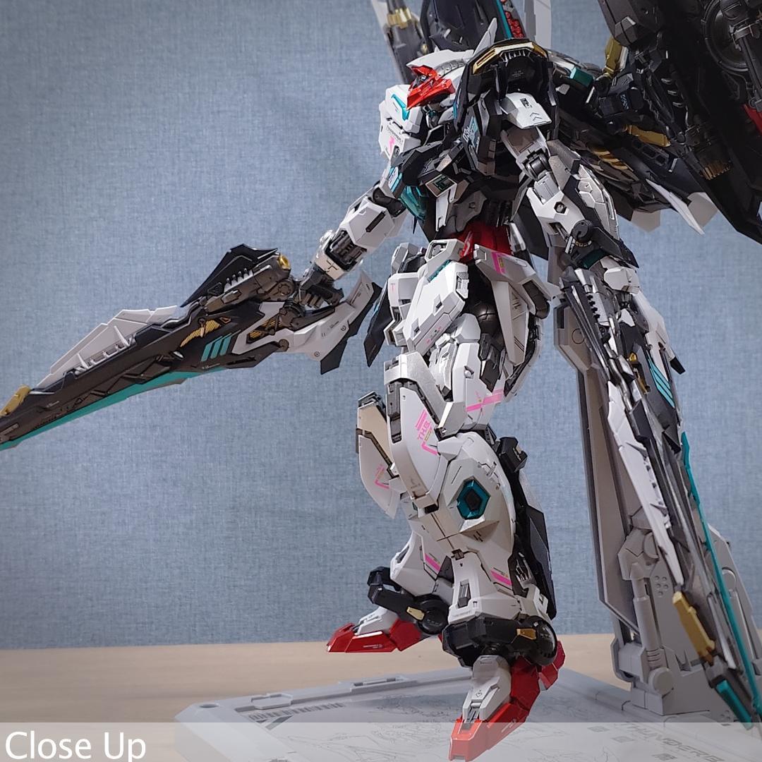 THUNDERBOLT DEVILFISH 1/100 IN ERA+ 完成品