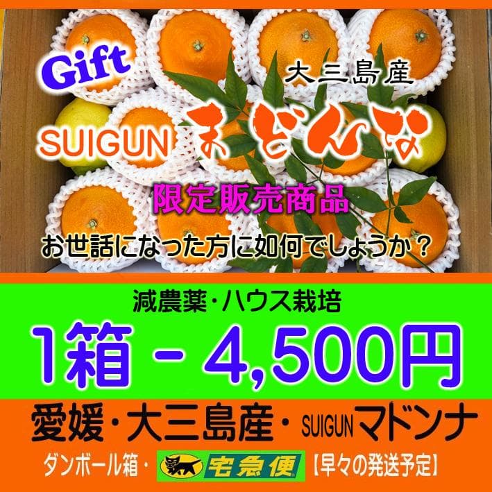 【言の葉】マドンナ贈答箱+SUIGUNマドンナS6Kg＋南柑２０号