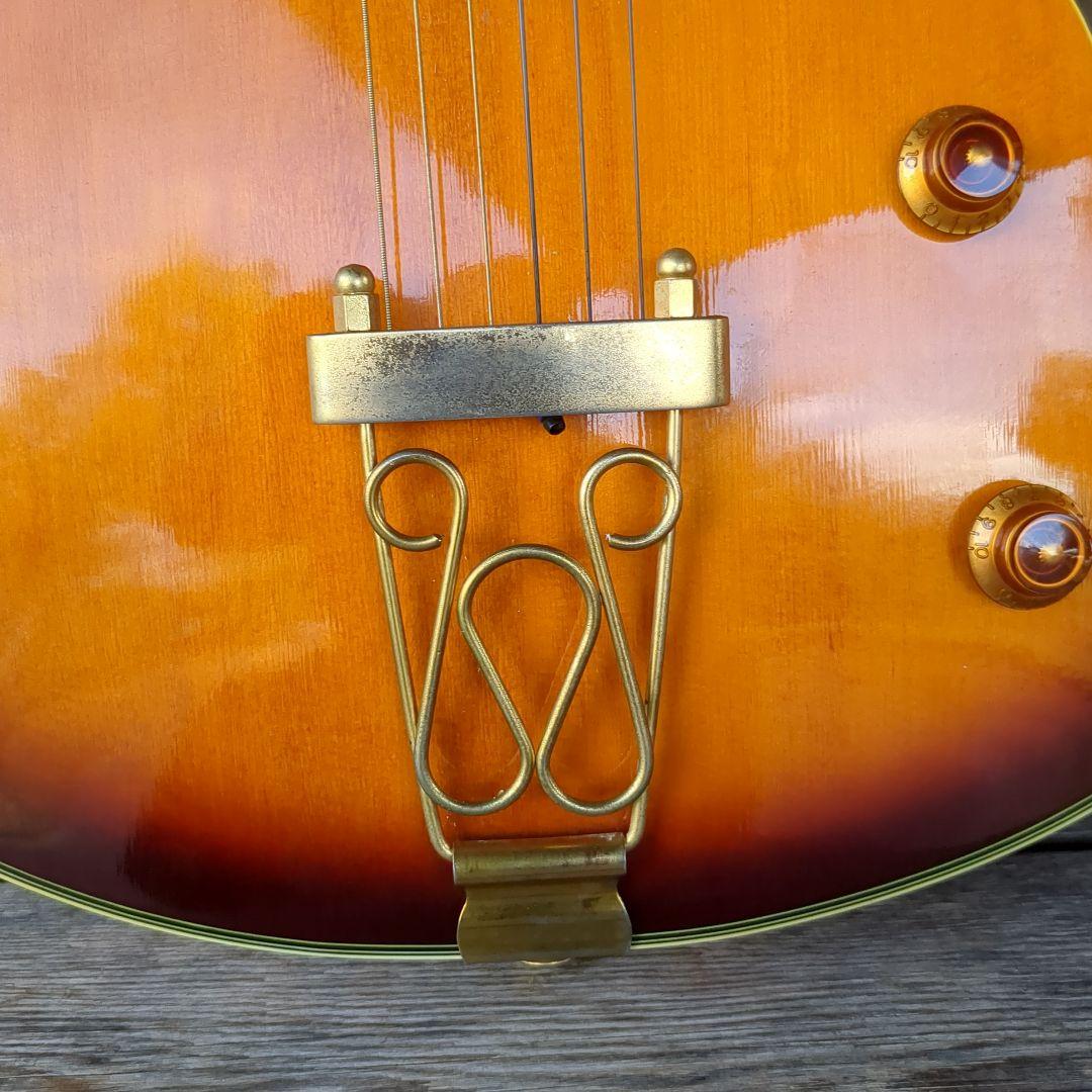 Epiphone joepass モデルフルアコースティックギター ケース付