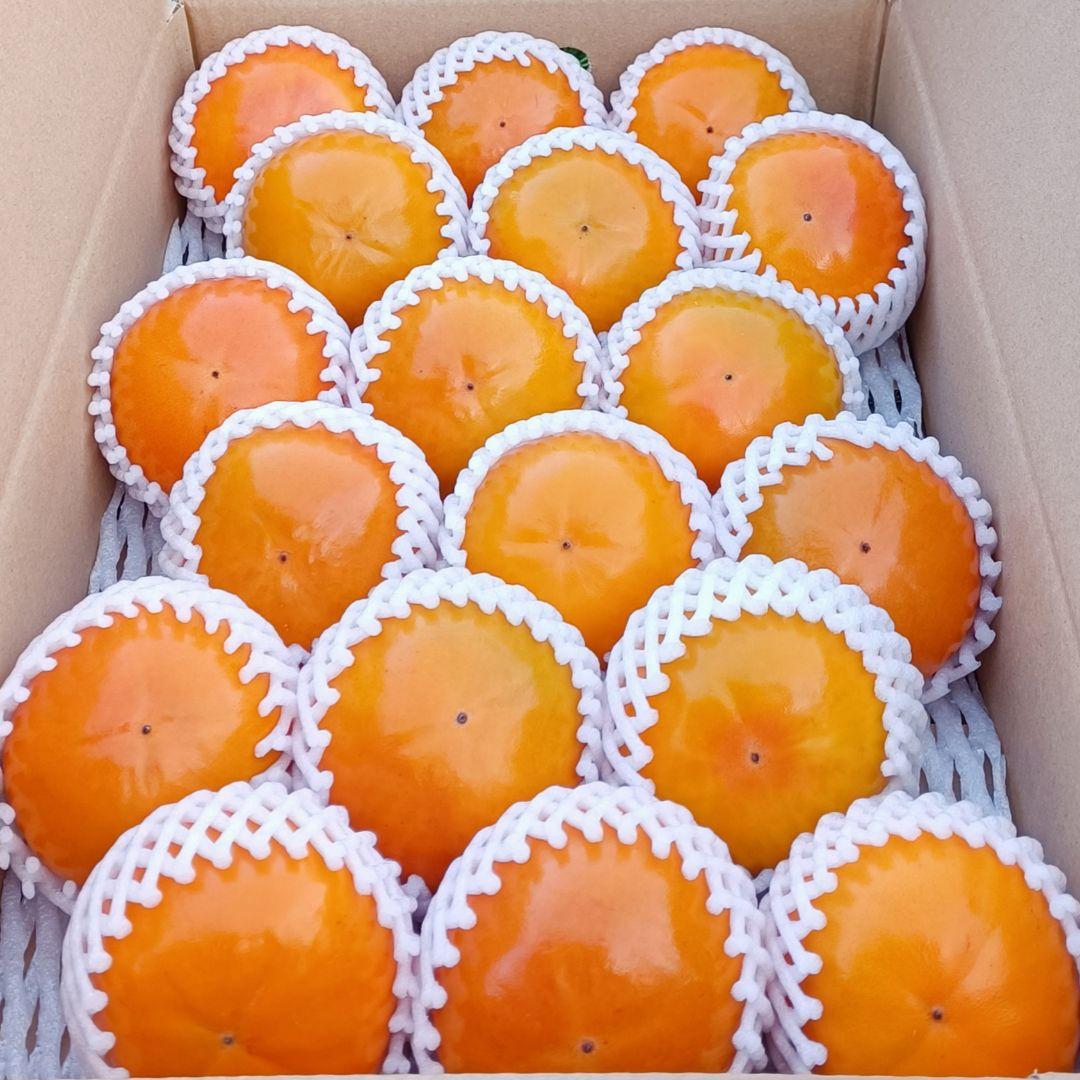 【贈答用・大玉】福岡県産富有柿 4.3kg+【高級甘柿】福岡県産富有柿4.5kg