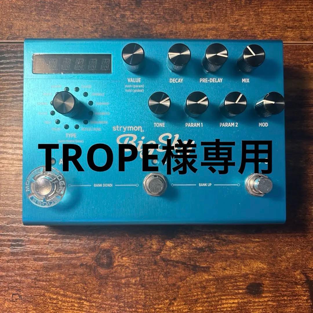 ストライモン　BigSky