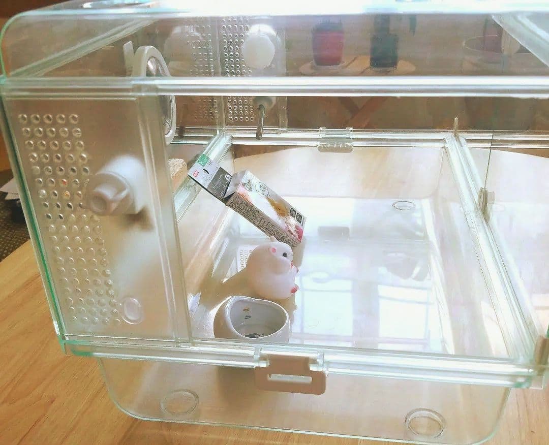 グラスハーモニー450#ハムスター#小動物#ケージ#ガラス#キレイ#GEX#飼育