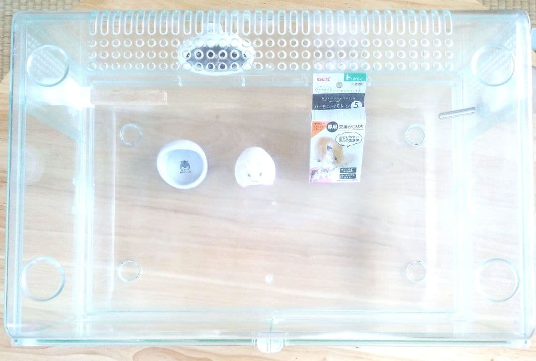 グラスハーモニー450#ハムスター#小動物#ケージ#ガラス#キレイ#GEX#飼育