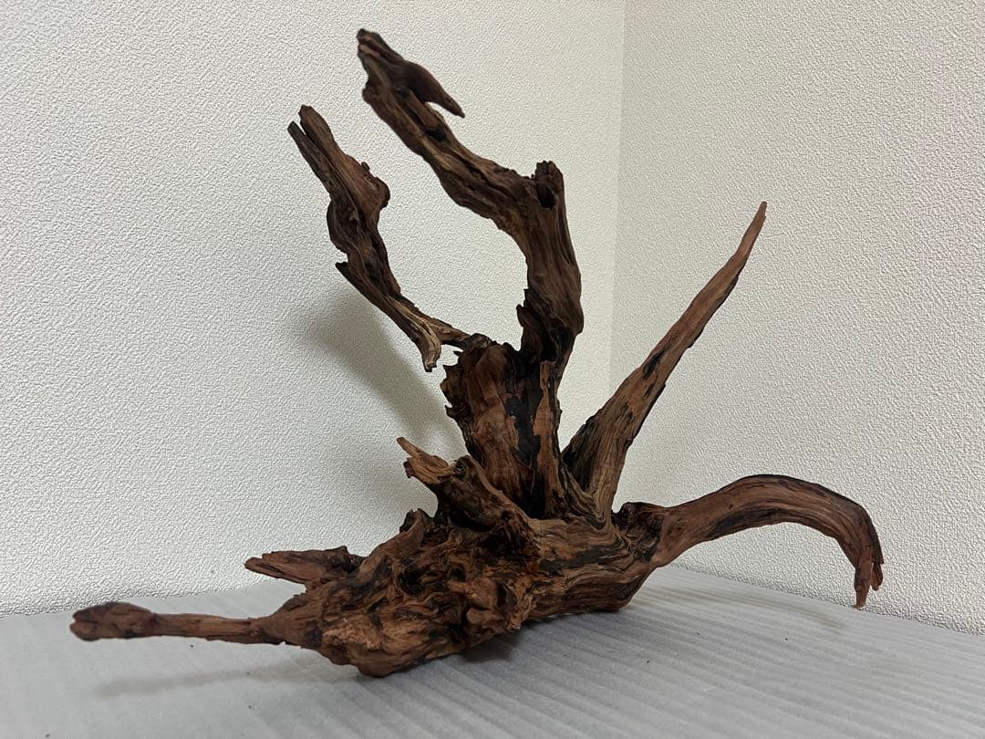 HX-079 流木　ホーンウッド　マシンガンウッド　アクアリウム　ブランチウッド