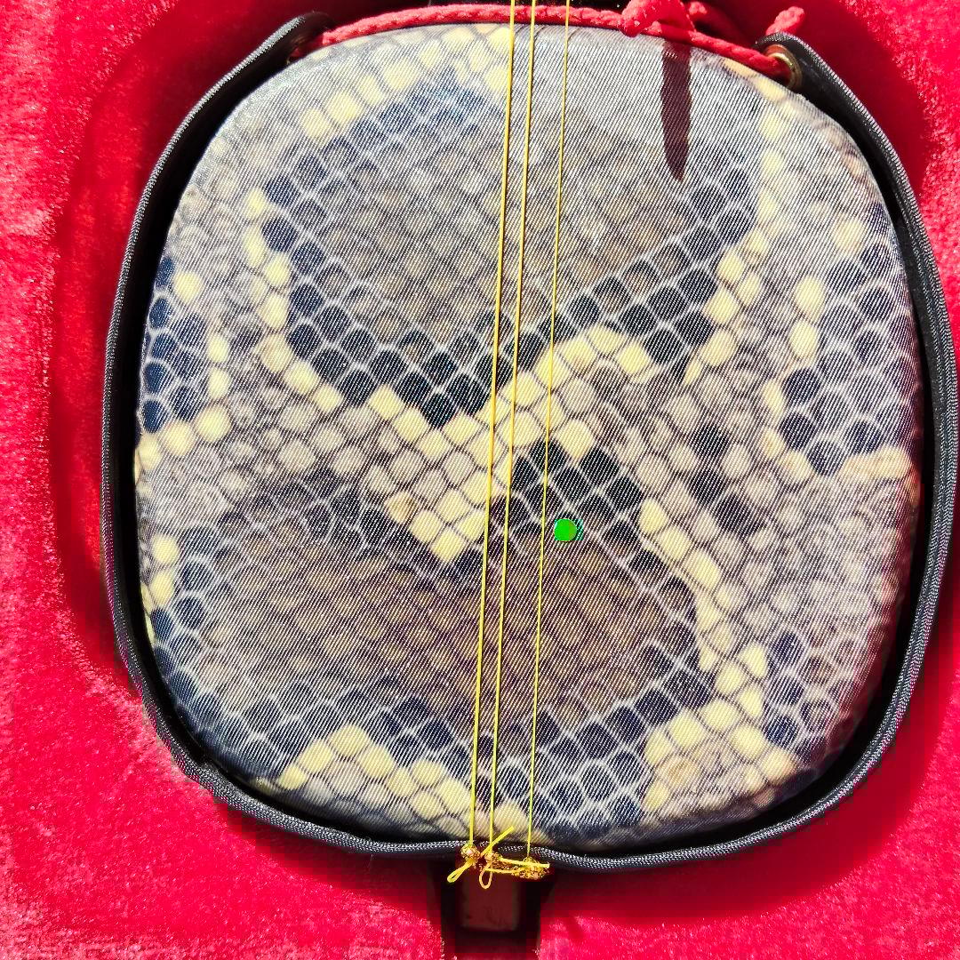 沖縄三線 蛇皮柄 人工皮 ハードケース付き 伝統楽器 さんしん 民族楽器 初心者