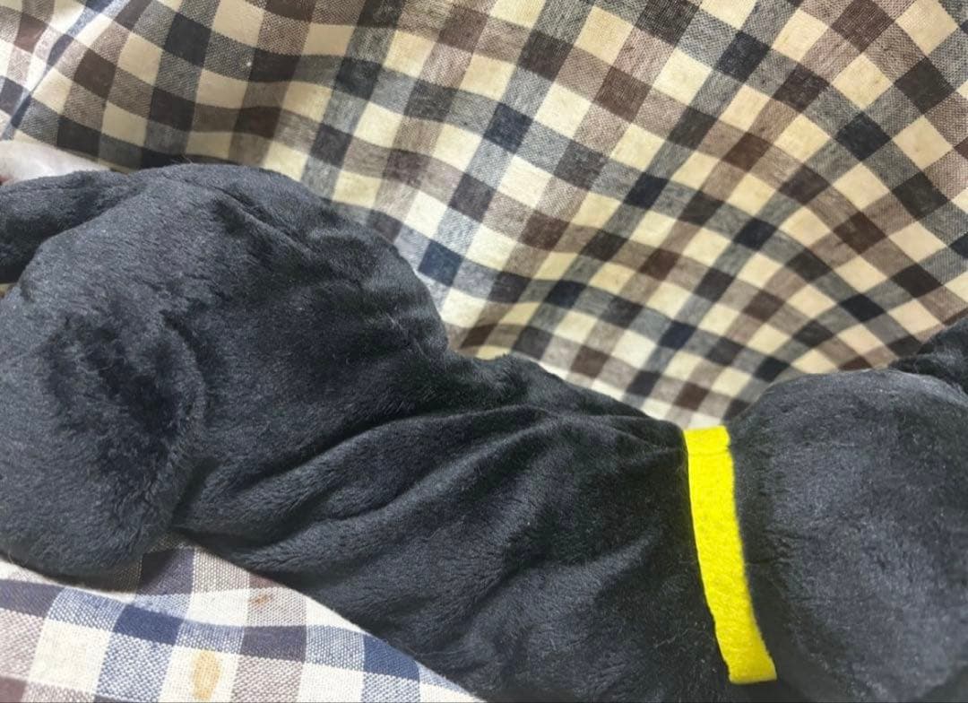 ペルソナ5　モルガナ　ぬいぐるみ