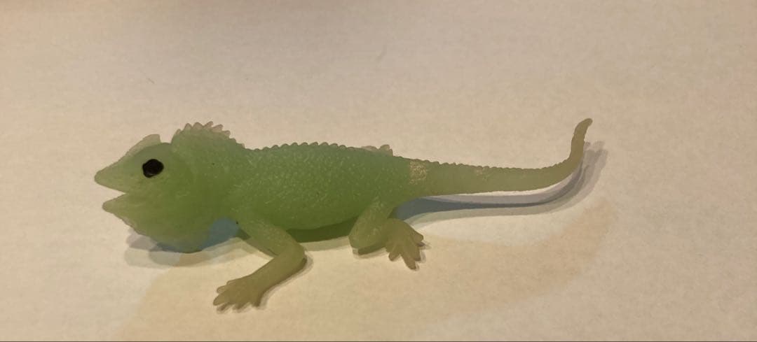 ディアゴスティーニ イグアナ&coコンプリート22体