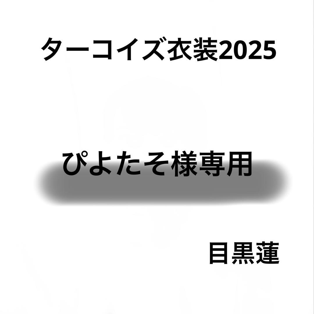 ぴよたそ　Bigぬい ぬい服　ターコイズ衣装　メンカララメ衣装　目黒蓮