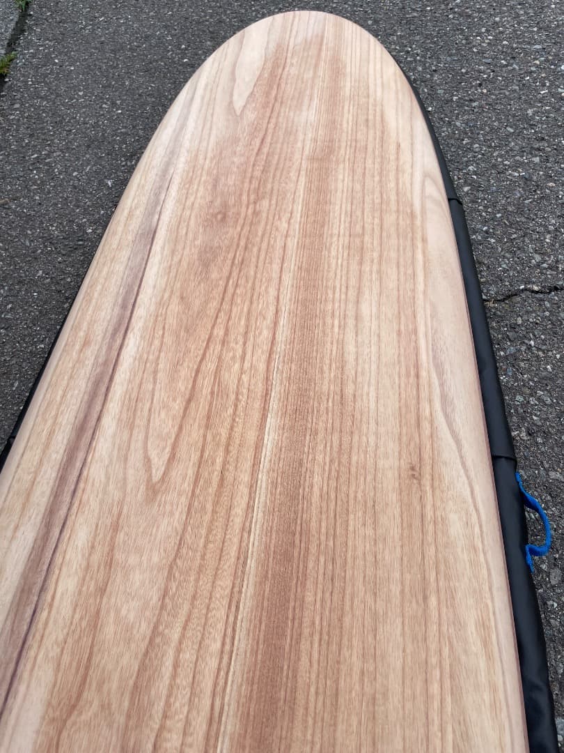 カリフラワー【未使用】Firewire GEM 9‘1　ハードケース込み