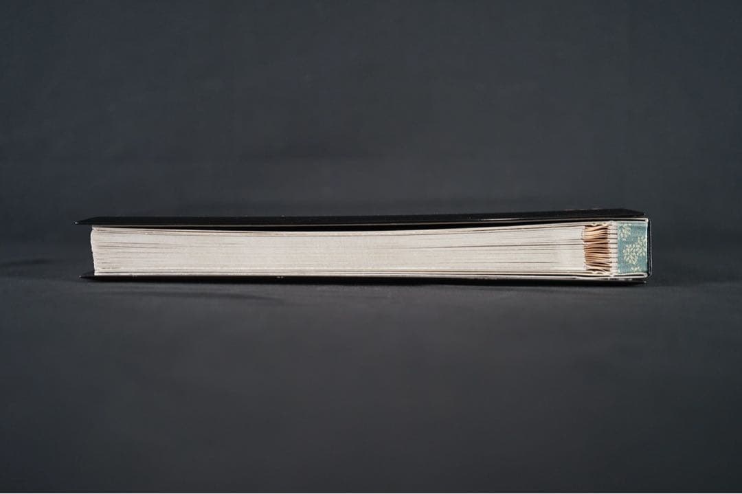 能登輪島塗 新屋謹製 大見謝 恒雄 作 土佐絵風描画 蒔絵写真帳 共箱 木製漆器