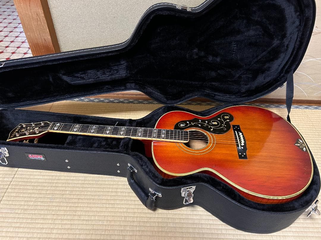 激レア 希少 カールヘフナー　496　アコギ ヴィンテージ