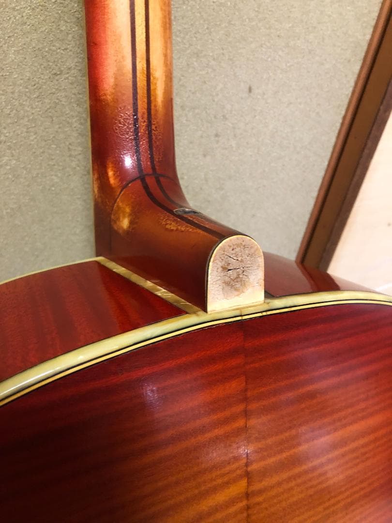 激レア 希少 カールヘフナー　496　アコギ ヴィンテージ