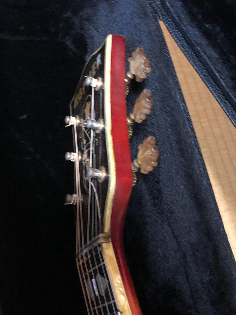 激レア 希少 カールヘフナー　496　アコギ ヴィンテージ