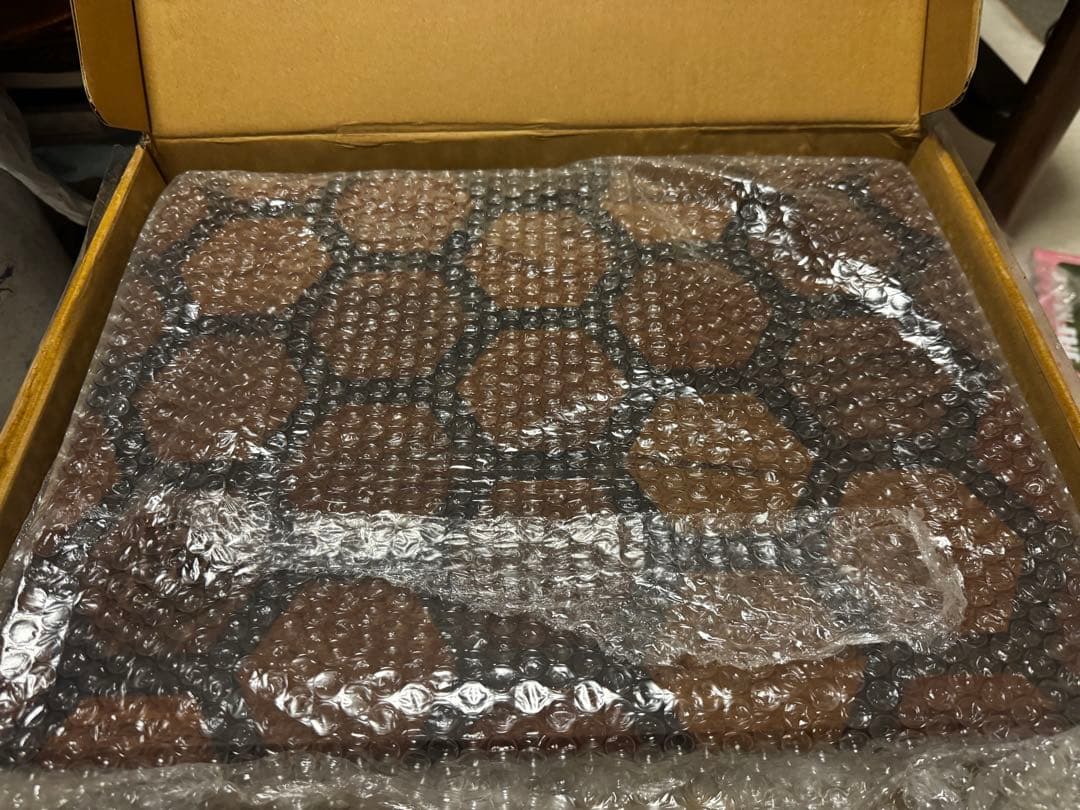 ウォンキーキャンプ BOXTOP SC25 HEXA wantkey camp