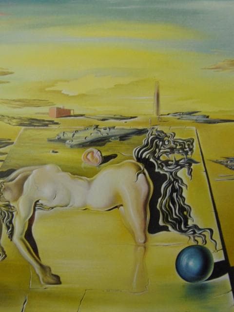 サルバドール・ダリ【姿の見えない眠る人、馬、獅子】　 高級画集画