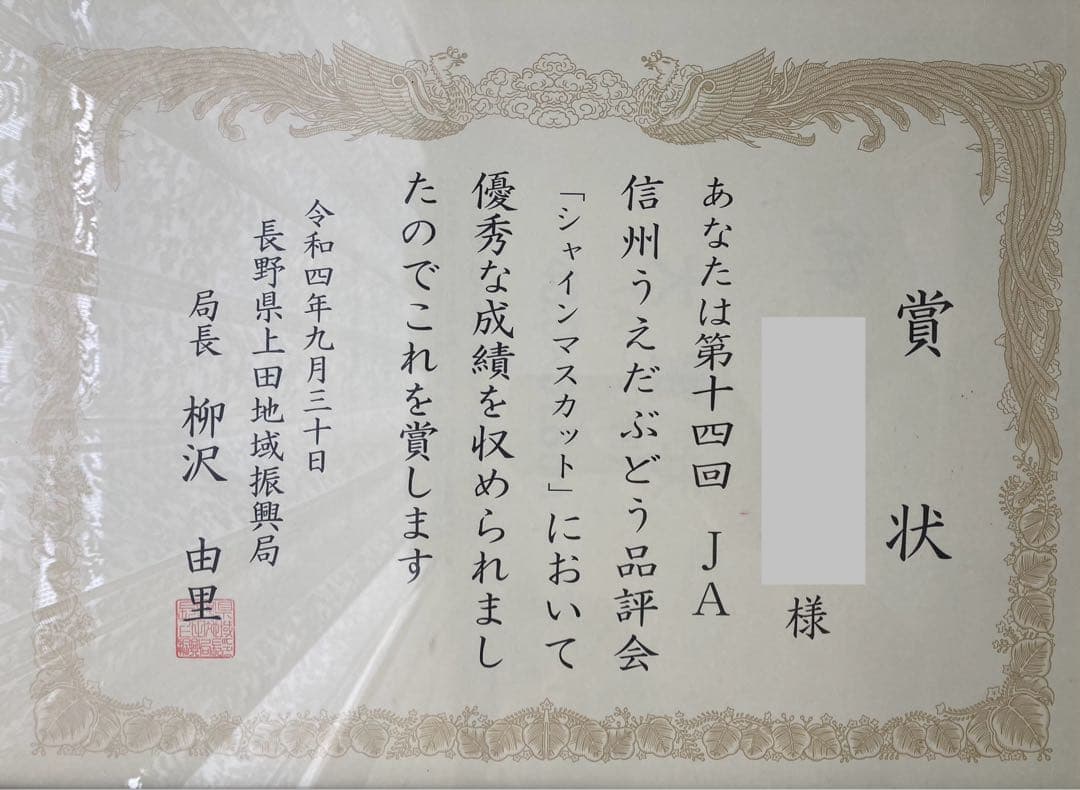 森のクマナガノパープル2房、シャインマスカット２房