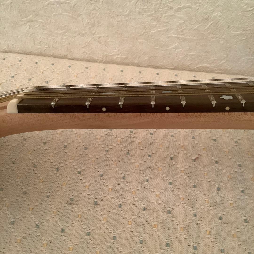 AntonioTsai エレクトリックマンドリン−8弦　ソフトケース，スタンド付