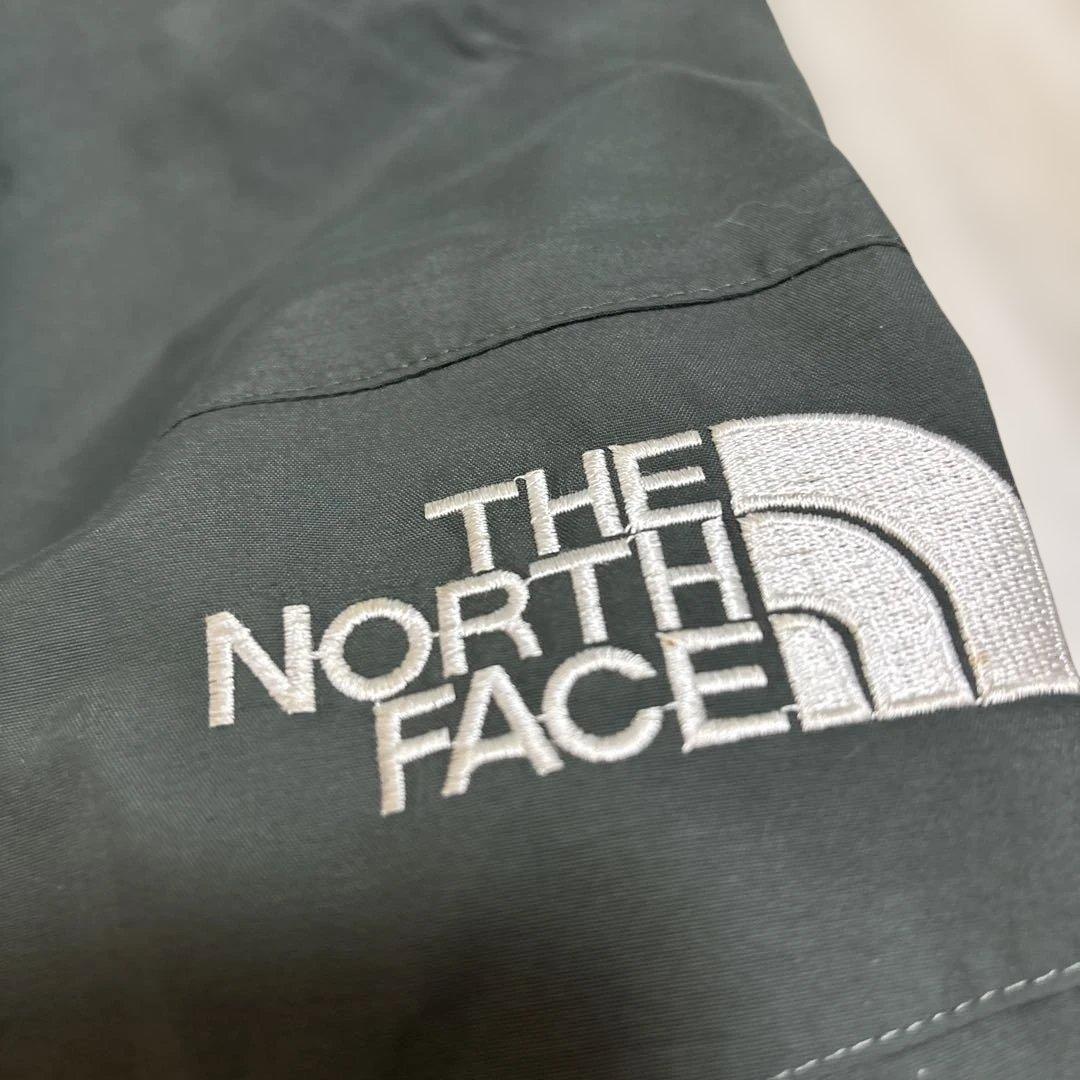 The north face ゴアテックス　スキー　メンズMサイズ