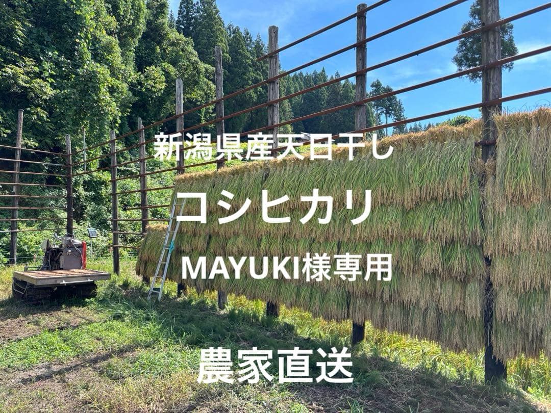 新潟県産天日干しコシヒカリ