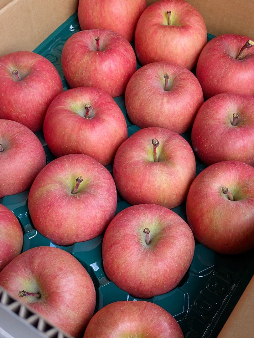 噂の林檎♡高徳♡36玉♡２段詰め♡10kg箱入♡