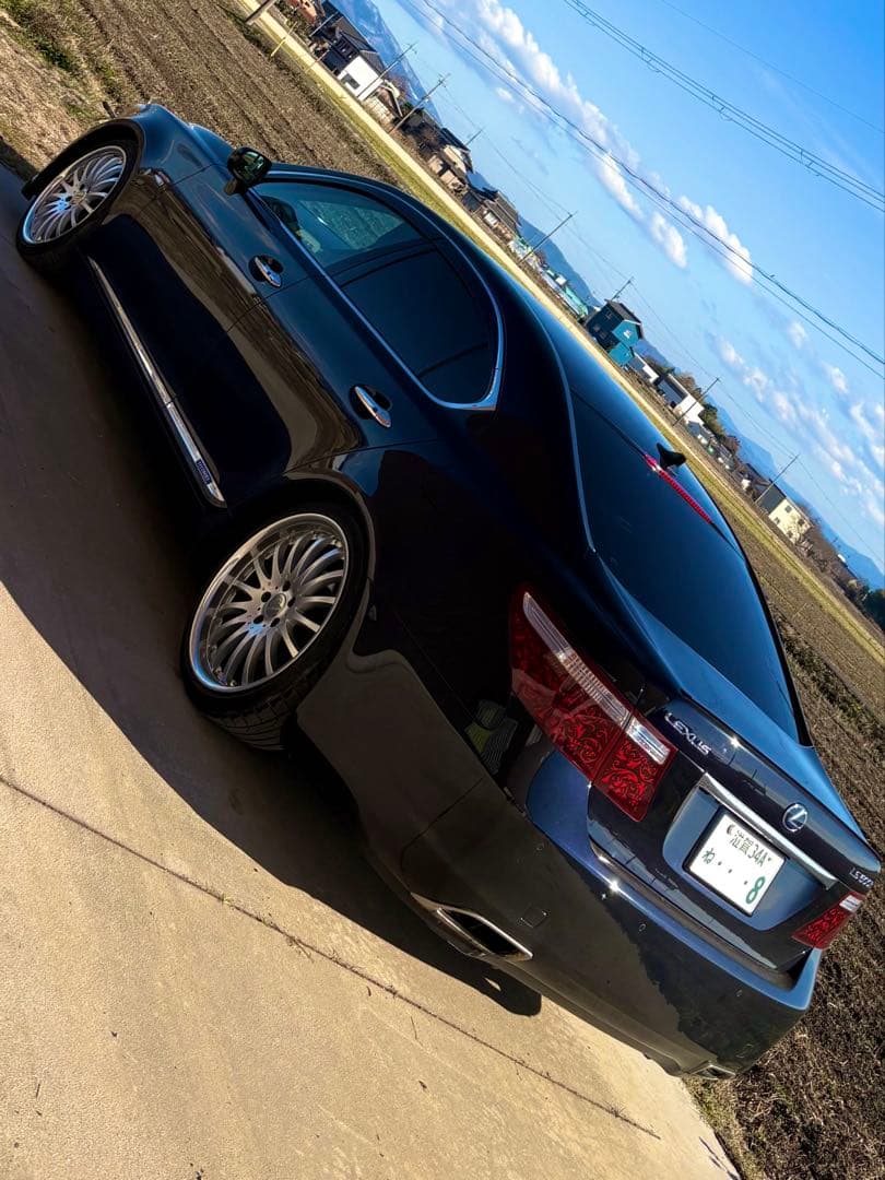 LEXUS LS600h LS460 アラベスク 西洋唐草模様 アクリルテール