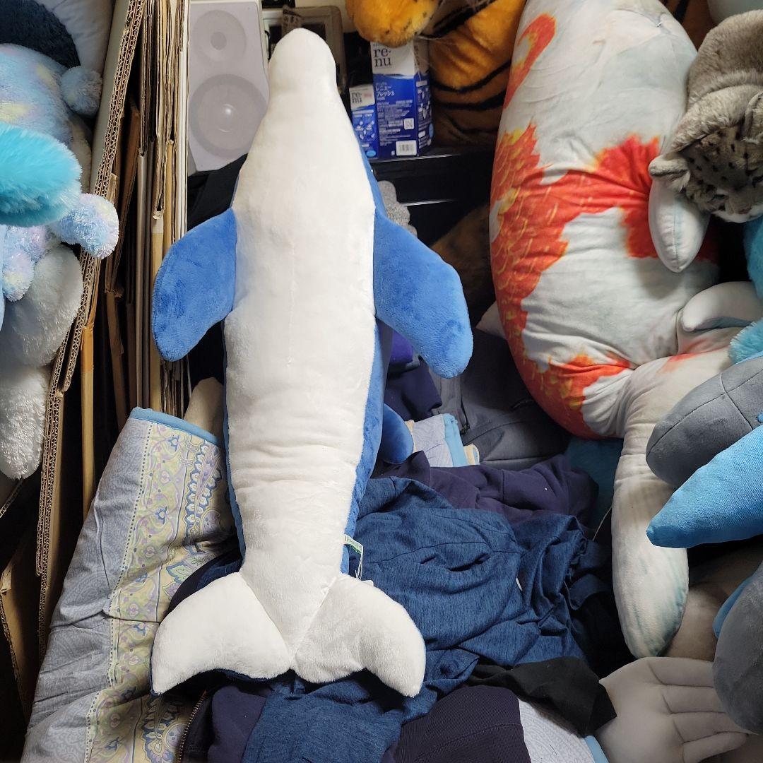 イルカぬいぐるみ