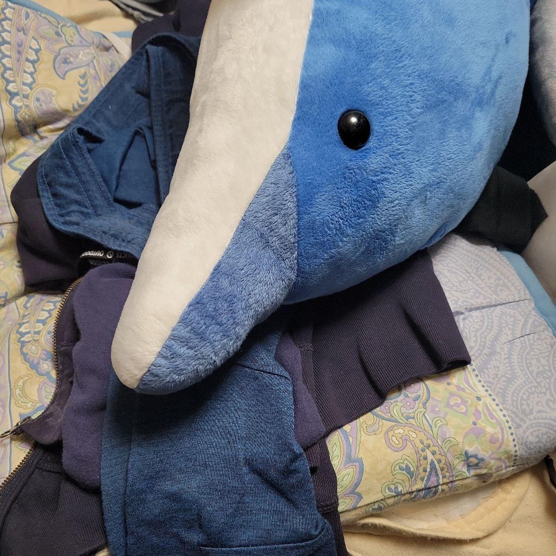 イルカぬいぐるみ