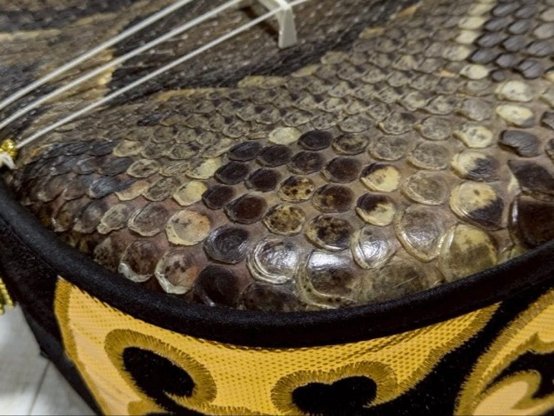 三線　胴 蛇皮（裏側破れ）【ケース付き】 訳あり