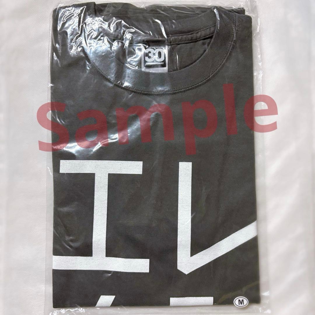 ★★新品未開封★限定★エレファントカシマシ★野音★エレカシTシャツ★Mサイズ★★