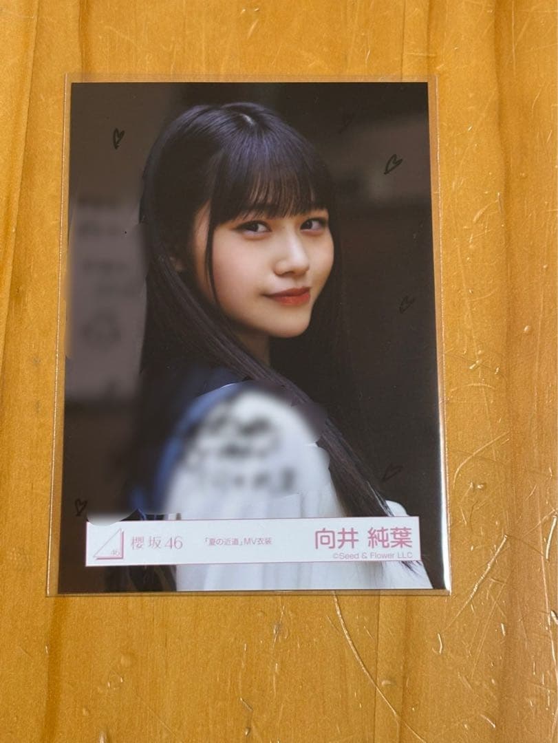 櫻坂46 向井 純葉　夏の近道　直筆サイン入り生写真