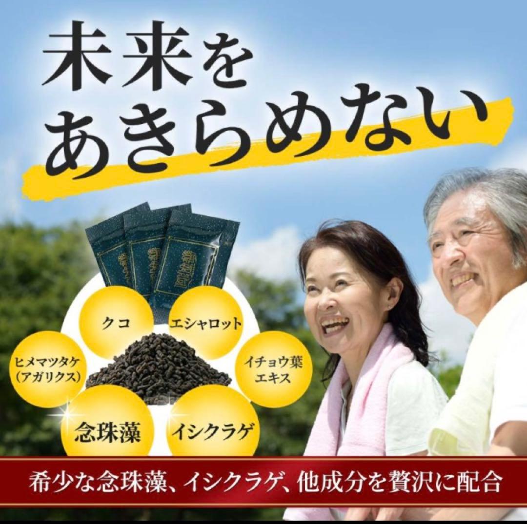 【期間限定特別価格】マイクロアルジェ・阿拉善 【未開封1箱】