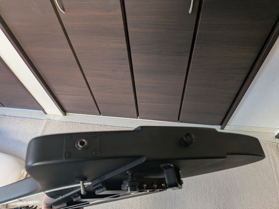 Epiphone ブラックバード　ニッキーシックス　サンダーバード