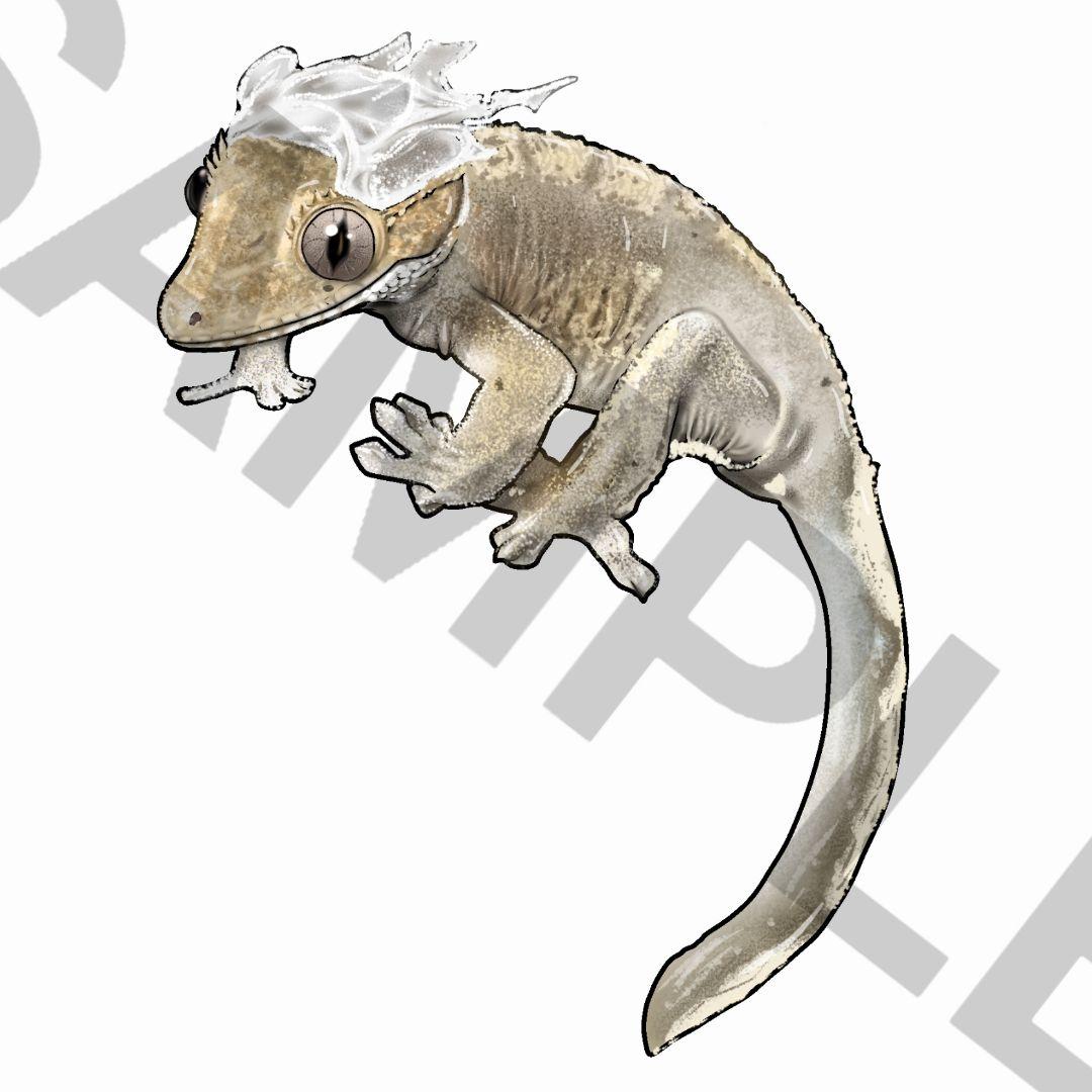 [ほり。]爬虫類ステッカー