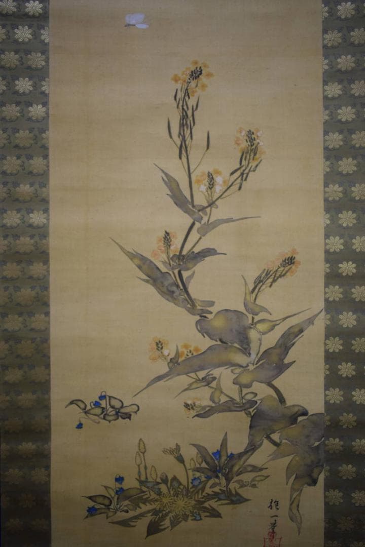 模写/酒井抱一/花蝶図/絹表装/布袋屋掛軸HG-231