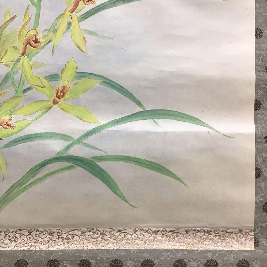 K茶道具　掛軸　「洋蘭の図」　古楊作　共箱　S1007KJ