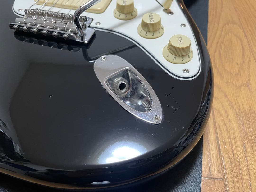 fujigen（FGN） SNST101-BK 【限定生産品】