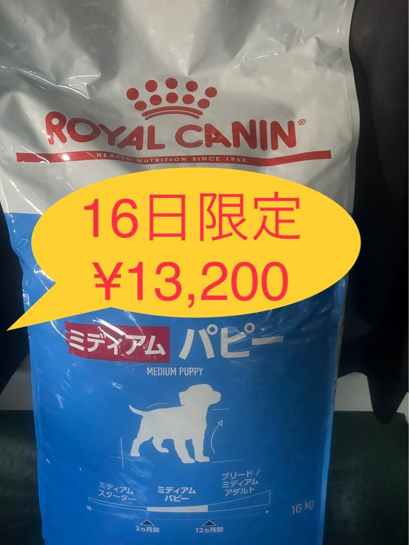 ロイヤルカナン　ミディアムパピー16kg ★16日限定価格ですょ〜(^o^)