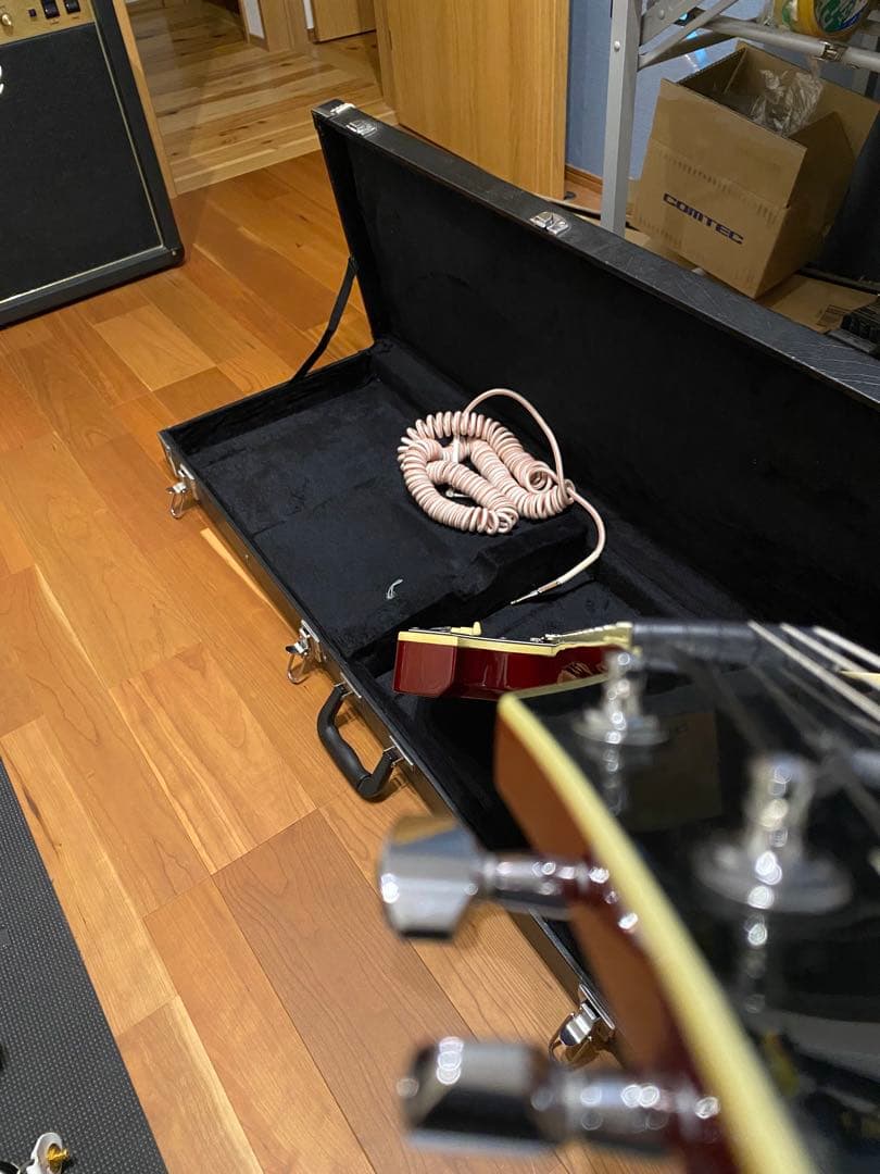 Ibanez アイバニーズFRM250MF ポールギルバート