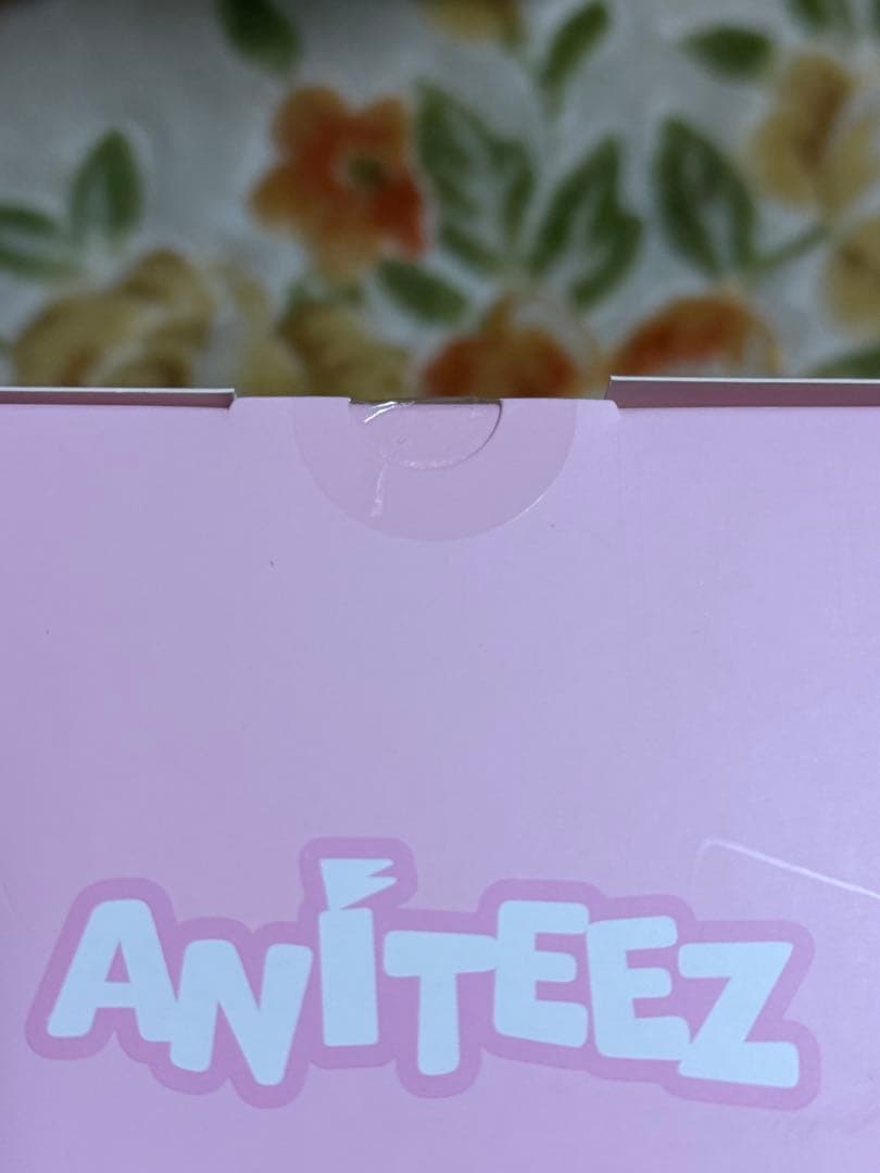 公式 aniteez ateez トンビョリ ぬいぐるみ ソンファ plush