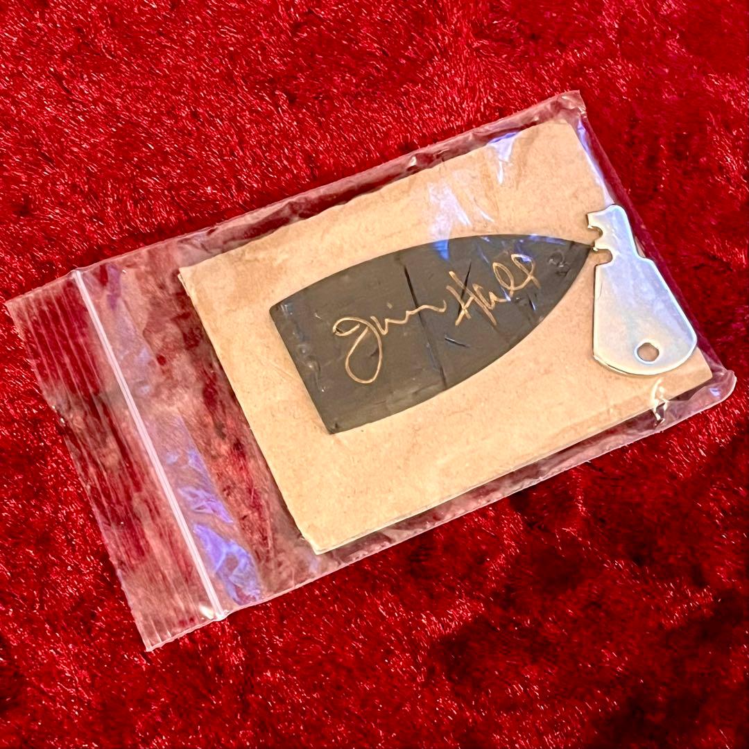 Sadowsky『Jim Hall Model』 フルアコ ジムホール