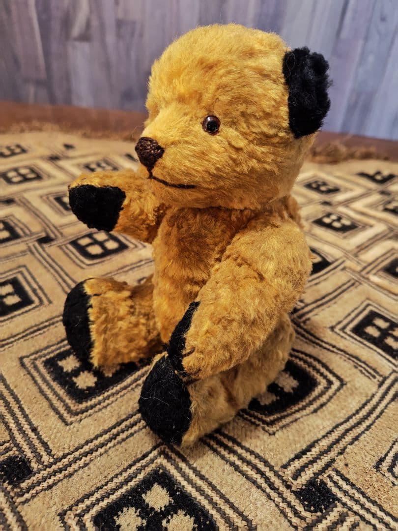 スーティー 1950年代