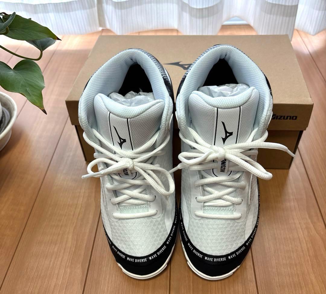MIZUNO WAVE DIVERSE DE2 24.5cm 超美品！